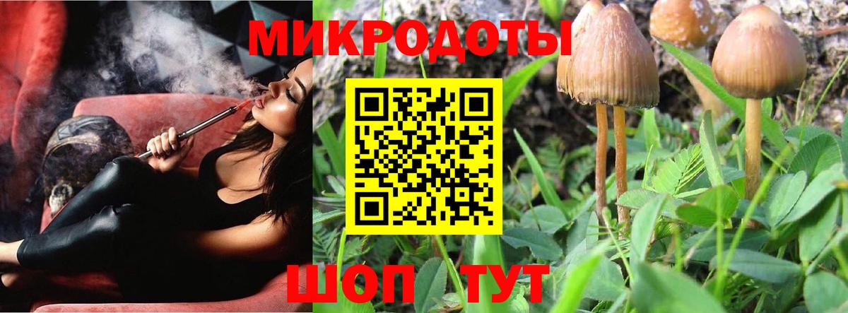 Ленинск-Кузнецкий  Псилоцибиновые грибы Cubensis  Галлюциногенные грибы мицелий  Вход с VPN 